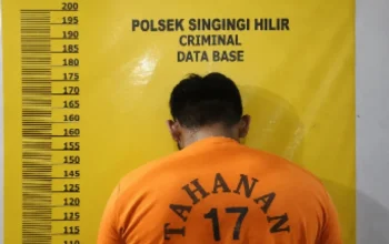 Pria di Kuansing Diamankan Polisi Usai Diduga Aniaya Perempuan dengan Senter
