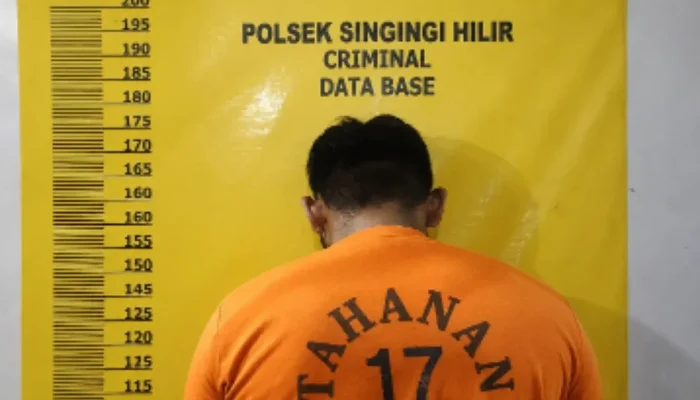 Pria di Kuansing Diamankan Polisi Usai Diduga Aniaya Perempuan dengan Senter
