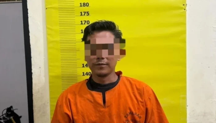 Kasus Hutan Mangrove Rokan Hilir, Penghulu Teluk Piyai Ditahan Polisi