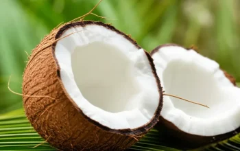 Harga Kelapa Inhil Anjlok, DPRD Riau Panggil Dinas Terkait