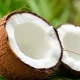 Harga Kelapa Inhil Anjlok, DPRD Riau Panggil Dinas Terkait