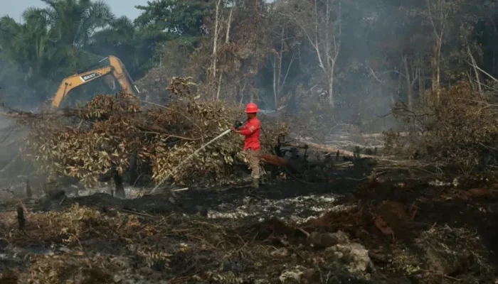 Karhutla Riau Bertambah 87,9 Hektar, Pelalawan Jadi Penyumbang Terbesar