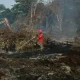 Karhutla Riau Bertambah 87,9 Hektar, Pelalawan Terbesar