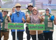 Kementan Tanam Serempak 50.000 Hektare, Siak Soroti Kendala Air Sawah