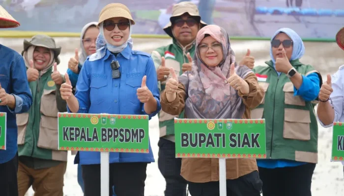 Kementan Tanam Serempak 50.000 Hektare, Siak Soroti Kendala Air Sawah