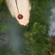 Lanud Roesmin Nurjadin, water bombing, Karhutla Riau, pemadaman karhutla, BMKG Pekanbaru