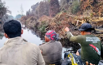 Pemadaman Karhutla Siak Selesai, Satpol PP Kembali