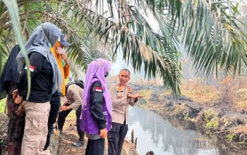 Penanganan kebakaran hutan dan lahan di Kabupaten Siak