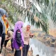 Penanganan kebakaran hutan dan lahan di Kabupaten Siak