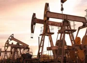 Peringatan Pakar Koordinasi Blok Rokan Tanpa Biaya Tambahan