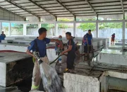Pemko Pekanbaru Bongkar Tembok Sekolah untuk Relokasi 450 Pedagang