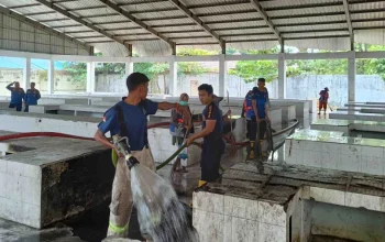 Pemko Pekanbaru Bongkar Tembok Sekolah untuk Relokasi 450 Pedagang