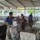 relokasi-pedagang-pasar-higienis-pekanbaru