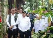 Restorasi Gambut Riau Capai 451 Ribu Hektare, Pemprov Tekankan Peran Masyarakat