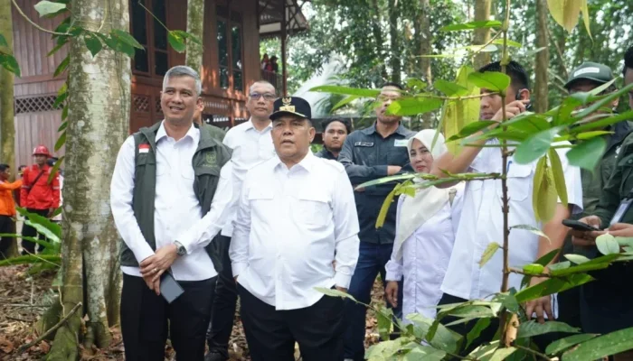 Restorasi Gambut Riau Capai 451 Ribu Hektare, Pemprov Tekankan Peran Masyarakat