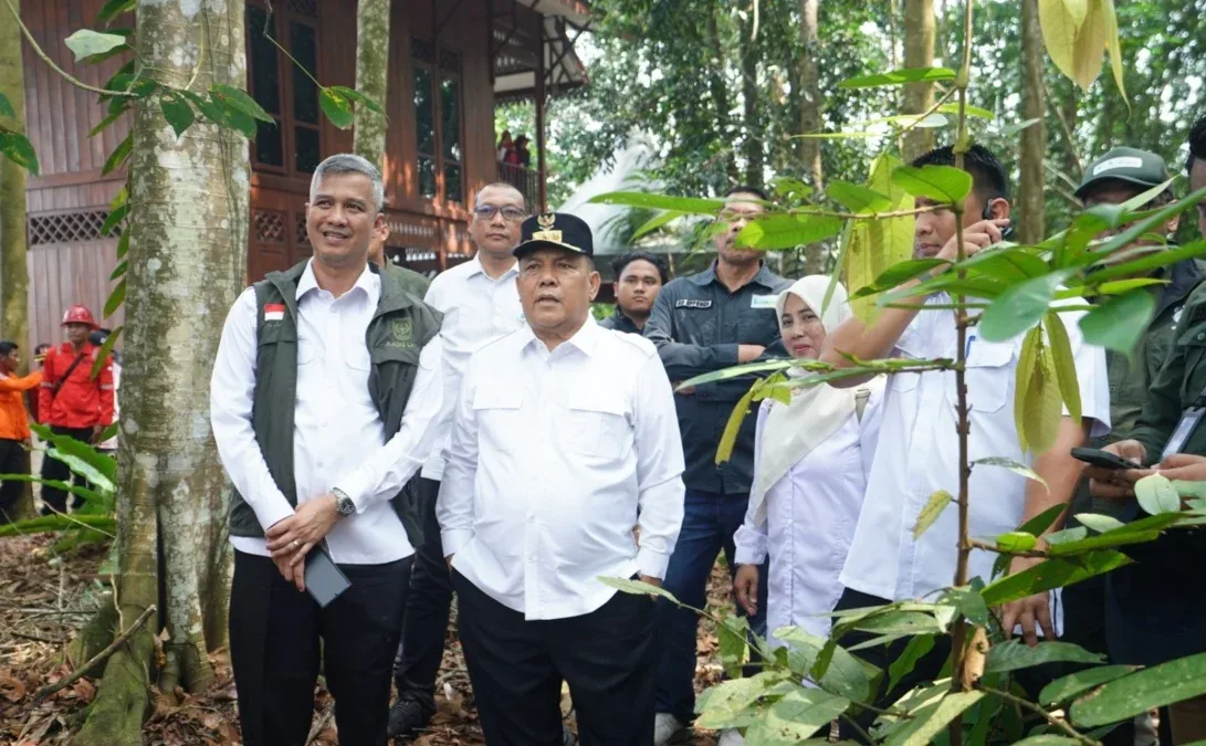 Restorasi Gambut Riau Capai 451 Ribu Hektare, Ini Strategi Pemulihannya