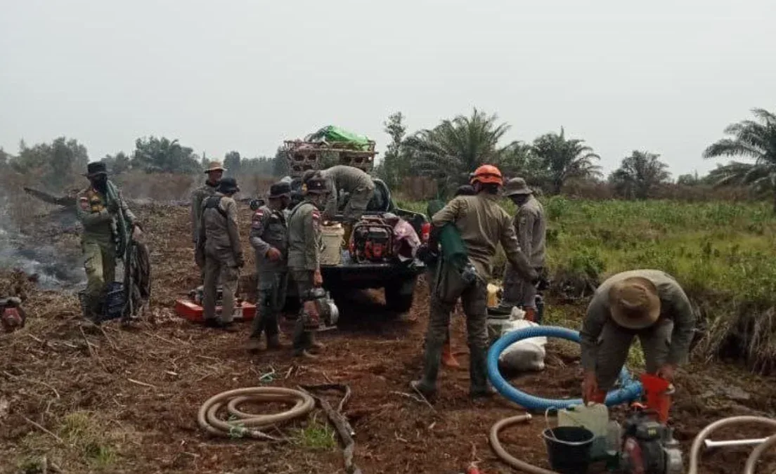 Satpol PP Riau, Karhutla Pelalawan, Kebakaran Hutan Riau, Pangkalan Kerinci, Kerumutan